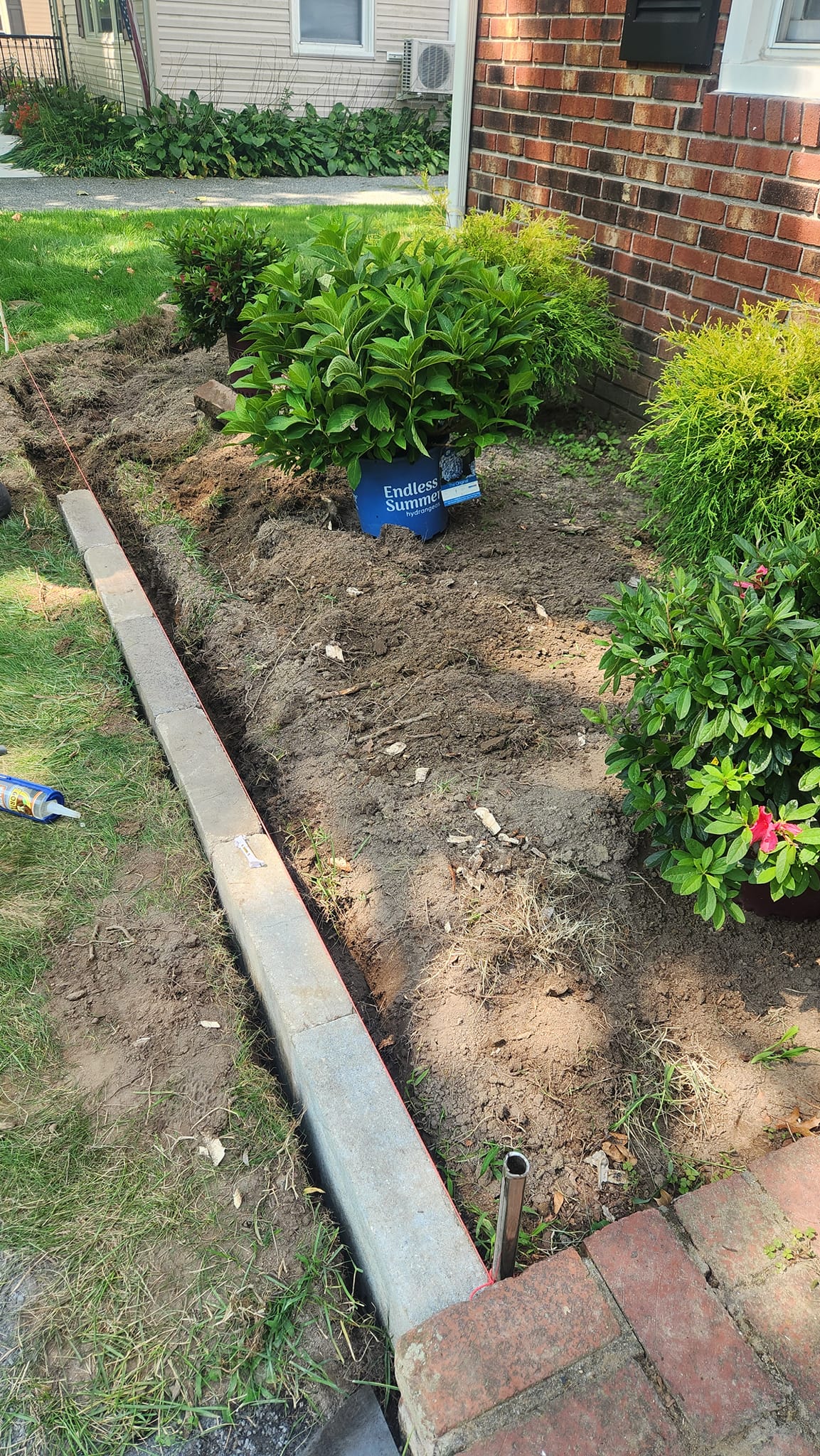 Hedge & Shrub Trimming